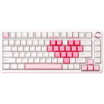 Yunzii B75 Pro